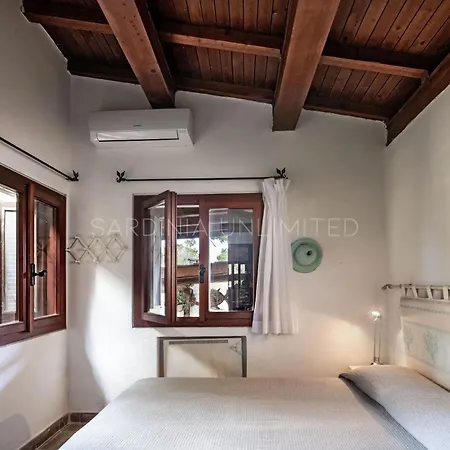 Astro Celeste Conca Verde