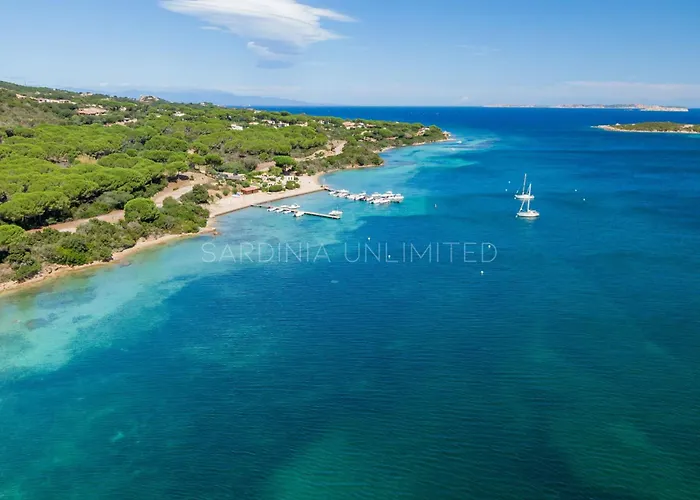 Astro Celeste Conca Verde