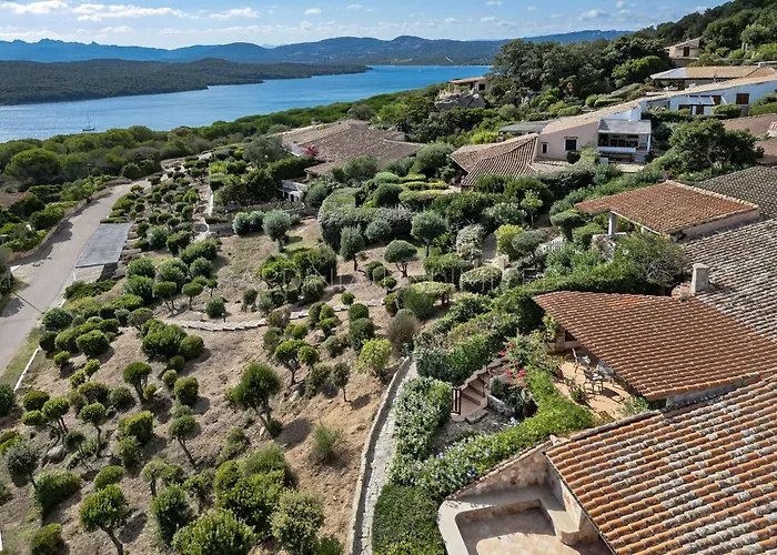 Astro Celeste Conca Verde