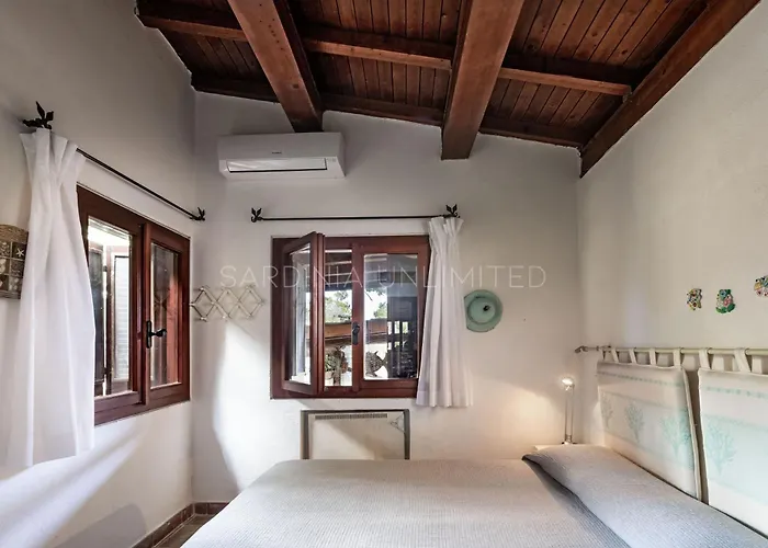 Astro Celeste Conca Verde