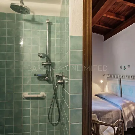 Astro Celeste Conca Verde