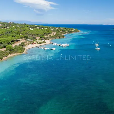 Astro Celeste Conca Verde