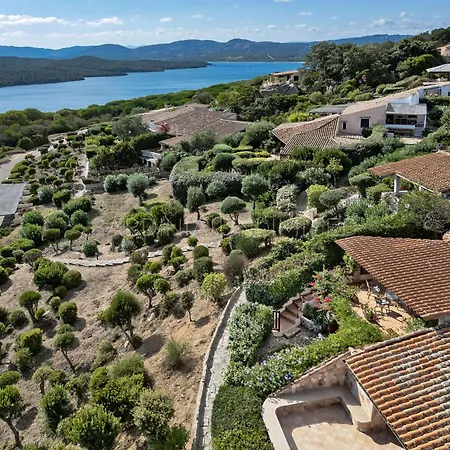 Astro Celeste Conca Verde